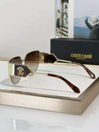 Picture of Roberto Cavalli Sunglasses _SKUfw74777879fw